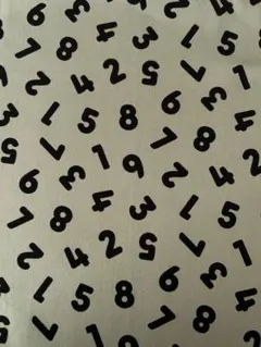 （現品限り）生地　オックス　ナンバー　数字　綿100%　50cmカット
