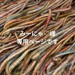 〚 みーにゃ♡様専用ページ 〛