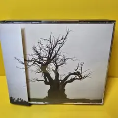 sekai no owari 邦楽