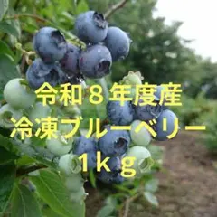 令和8年度産 冷凍ブルーベリー 1kg 【送料込】のサムネイル