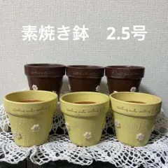 断熱鉢　　素焼き植木鉢　6個 素焼き鉢 Sポット 6号 赤焼/4120060 - 花材通販はなどんやアソシエ