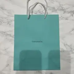 Tiffany & Co. ショップ袋 ショッパーのサムネイル