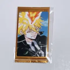 天野明展 家庭教師ヒットマンREBORN! 自撮り 特典 ボンゴレプリーモ