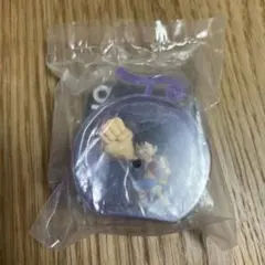 ワンピの実ミクロ　ギア３