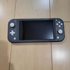Nintendo Switch Lite グレー 本体　水没　ジャンク