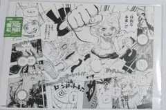 ONE PIECE ALL PAGES ニカ ボニー ワンピース ベースショップ - メルカリ