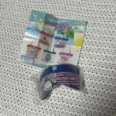 サンリオキャラクター プールバッグ風ミニポーチ　ポチャッコ