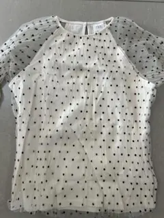 ZARA ドット柄 シースルー袖 トップス
