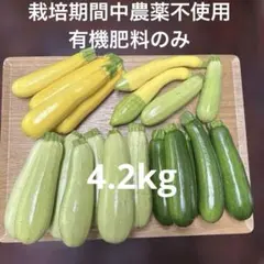 ズッキーニセット　4.2kgのサムネイル