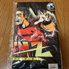 ツェーゲン金沢　フェイスタオル⭐︎値下げ