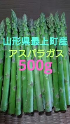 信州産 アスパラガス Lサイズ 600g ネコポス発送 - メルカリ