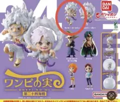 ワンピの実　第二十四海戦 モンキー・D・ルフィ
