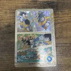 ぽ*須様 ドラゴンボール スーパーダイバーズ パラレル 孫悟空　APT-005 BANDAI（バンダイ） ドラゴンボールスーパーダイバーズ APT-005 孫悟空