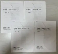 2026年最新】必修ファイナルゼミの人気アイテム - メルカリ