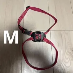 Item thumbnail for item 2b239a57-eeab-46af-8e86-e45c1aaa797b