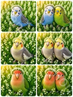 2026年最新】オカメインコ ハンドメイドの人気アイテム - メルカリ