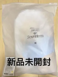 SEVENTEEN アーティストメイド ドギョム ドア　ぬいぐるみ