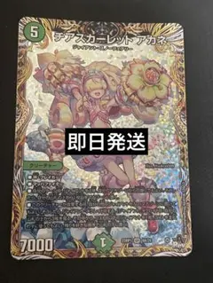 Item thumbnail for item 699b12cc-09ad-4d44-b21e-10d16cadd063