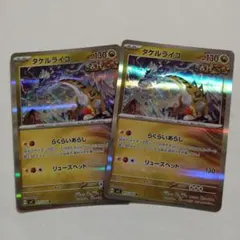 タケルライコ　らくらいあらし　リューズヘッド