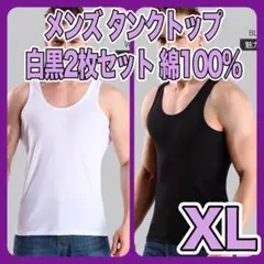 Item thumbnail for item 910499e6-7147-4e3b-bf36-25036088b672