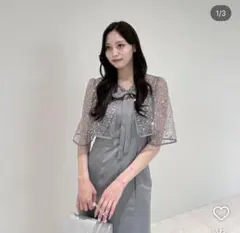 【未使用　タグ付き】LEJAのグレー ビジュー付きケープ マーメイドドレス