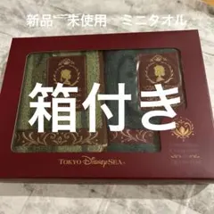 東京ディズニーシー エルサ ミニタオル2枚セット