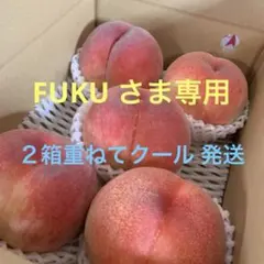 山梨一宮のてっぺん桃　幸茜の超特大サイズを5個詰め発送　終了間近　ももやのきよし