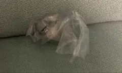 鎧さん ちいかわ フィギュア