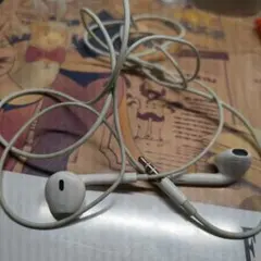 Earpods？　ジャンク