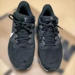 Nike ペガサス 41 ランニングシューズ ブラック/ホワイト