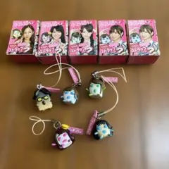 akb48プッチョ