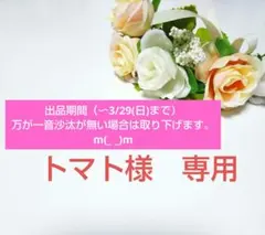 トマト様専用ページ【3/29まで】
