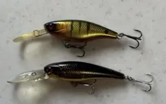 Item thumbnail for item 50ed1eb5-5031-4801-b002-3a145d2957d4