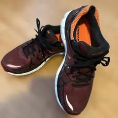 asics GEL-KAYANO 21 ランニングシューズ　27.５cm。