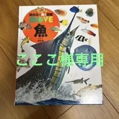 こここさま専用　【美品】講談社の動く図鑑 MOVE 魚 新訂版DVDなし