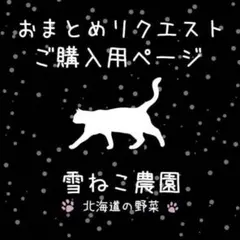 オレンジみかん様リクエスト商品ページ（インカのめざめ5個） - メルカリ