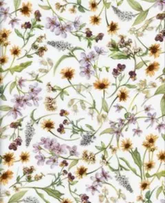 Item thumbnail for item 7cd1c179-ff9c-4a06-8416-e5144a304d89