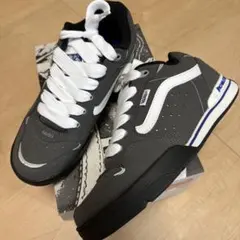 VANS×WORKSOUT Rowley XLT LX 26cm バンズ コラボ - メルカリ