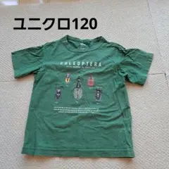 UNIQLO コレオプテラ Tシャツ 120
