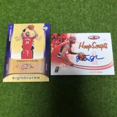 Item thumbnail for item 9827e929-1dd4-4f33-9962-a0806bc2091e