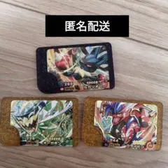 未使用　フレンダ　ルカリオ　レガシー　コライドン　オーガポン