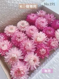 ヘリクリサム ドライフラワー　花材