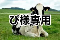 グリス500g、黒芯白8