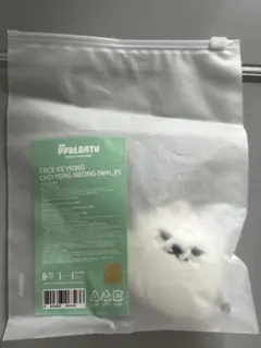 TXT PPULBATU プルバトゥ ヨンモン スビン フェイスキーリング