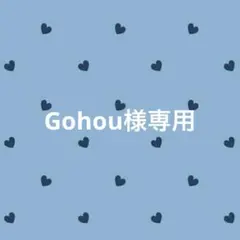 Gohou様 リクエスト 2点 まとめ商品
