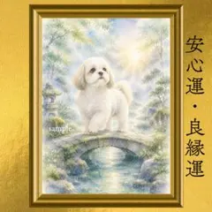 【人気・再出品】シーズー 家庭運・良縁運 開運アート ぼかし水彩画 風水
