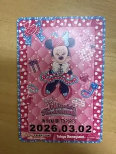 ヤ*ー様 ディズニーリゾートライン ミニパル フリーきっぷ ミニーの日