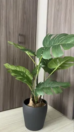 【鉢付き】IKEA グリーン モンステラ 人工観葉植物 グレー鉢・ヤシの繊維付きのサムネイル