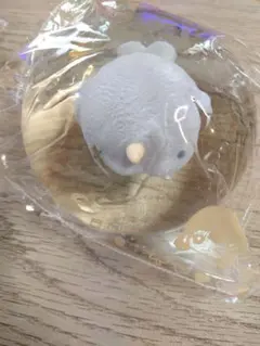 MOMO 海洋シリーズ　イッカク