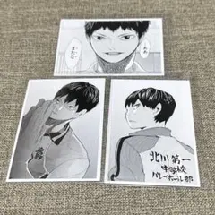 ハイキュー 10th クロニクル 思い出スナップフォトカード 烏野 影山 セット